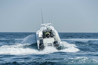 SILVERCAT 34CC 14 