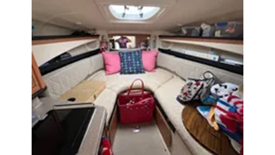 2006 Sea Ray 260 Sundancer 31 
