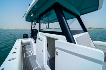 SILVERCAT 34CC 7 