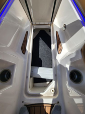 2015 Sea Ray 270 Sundeck 14 15
