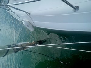 Schaefer 365 12 image12