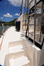 2023 Dolphin 380 12 
