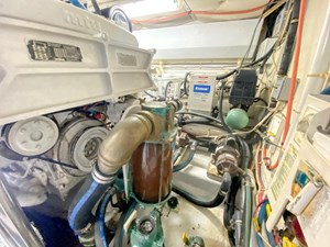 JUST BEARLY III 59 59