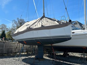 Daisy VI 3 