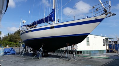 VOLANTE 1 8762205_20230322061952293_1_XLARGE