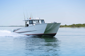 SILVERCAT 40CC 27 