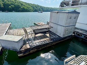 Dragonfly Chaser 131 