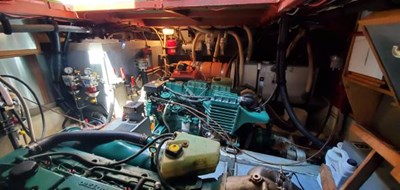 DOG'S LIFE 15 7300543_20191204095656752_1_XLARGE