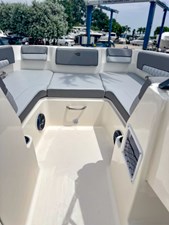 Bayliner DX2200 29 