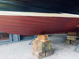 Amelia  23 24
