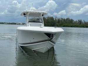 Shellyfish 30 31