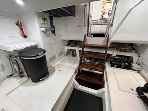 Bucephalus 38 IMG_5374