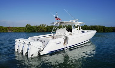 AUDACIOUS 12 10 Ladder NEW