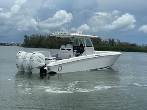 Shellyfish 22 23
