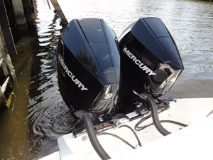 NO NAME INTREPID 17 