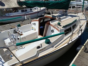 PURA VIDA 7 