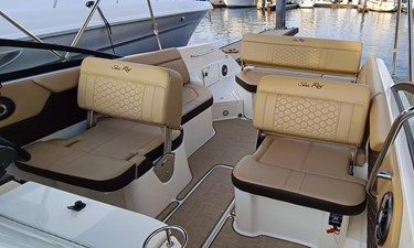 2022 Sea Ray 250 SDX @ Puerto Vallarta 6 