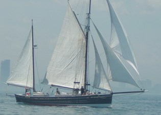 1911 Custom Zulu Violet 2 cover 2