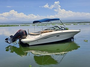 2021 Sea Ray 190 SPX OB @Acapulco 1 