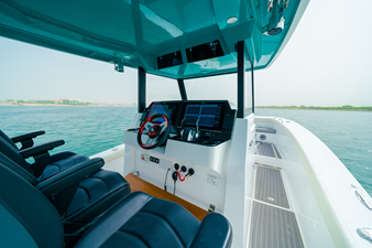 SILVERCAT 34CC 3 