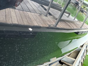 024 Yamaha 252SD NLNL 108 