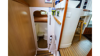 Dreaming On 3 4. 2003 Leopard 47