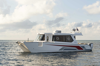 SILVERCAT 34LUX 22 