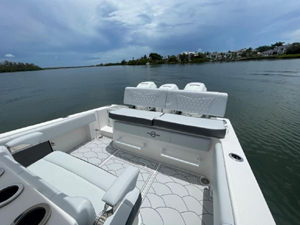 Shellyfish 48 49