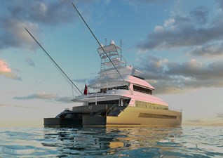 StellarCAT SF2603 9 SF2603 EXTERIOR_.247 (2)