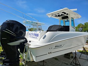 Salty Frog 5 