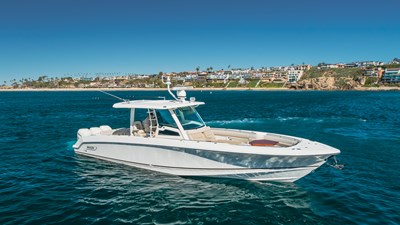 Robin Ann 45 