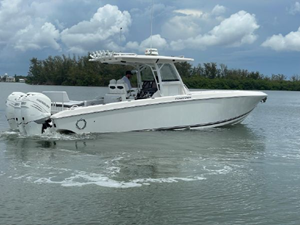 Shellyfish 24 25