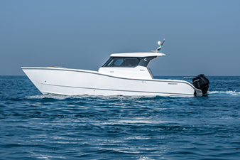 #1  SILVERCAT 34HT 15 