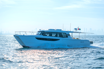 #2 SILVERCAT 46LUX 43 