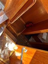 IRIS 37 IMG_0942