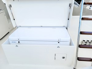 PARAIBA 38 Xlarge Exterior Freezer chest
