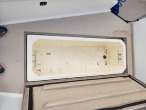 Bay Rat II 34 