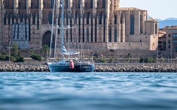 SCARENA 29 