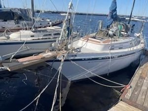 1981 Allied Mistress Mk III  5 