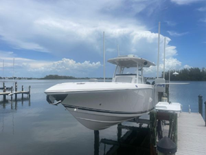Shellyfish 38 39