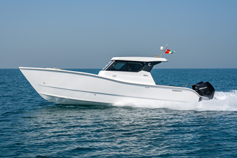 #1  SILVERCAT 34HT 19 