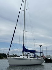 TFIN 34 IMG_7737