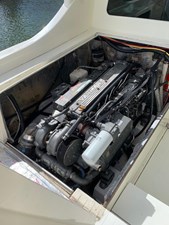 LEGACY 17 17