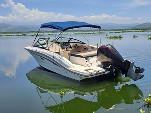 2021 Sea Ray 190 SPX OB @Acapulco 3 