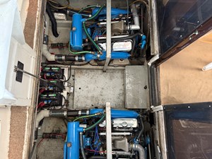 Caribbean Express 20 