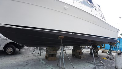 Sea Ray 340 Amberjack 3 