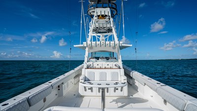 EXECUTIVE DECISION 15 