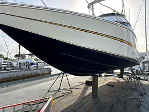 Caribbean Express 26 