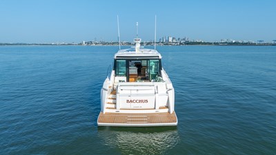 BACCHUS 39 Profile