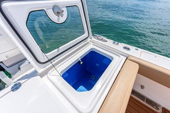 Shine V 19 Cockpit Livewell